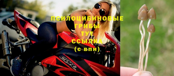 шишки Беломорск