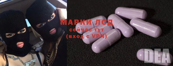 шишки Беломорск