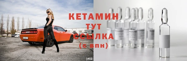шишки Беломорск