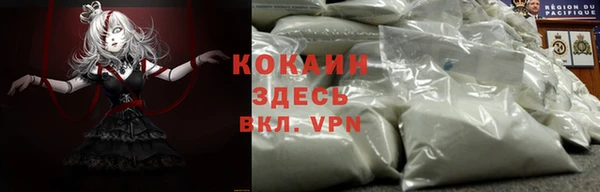 шишки Беломорск