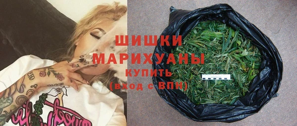 шишки Беломорск
